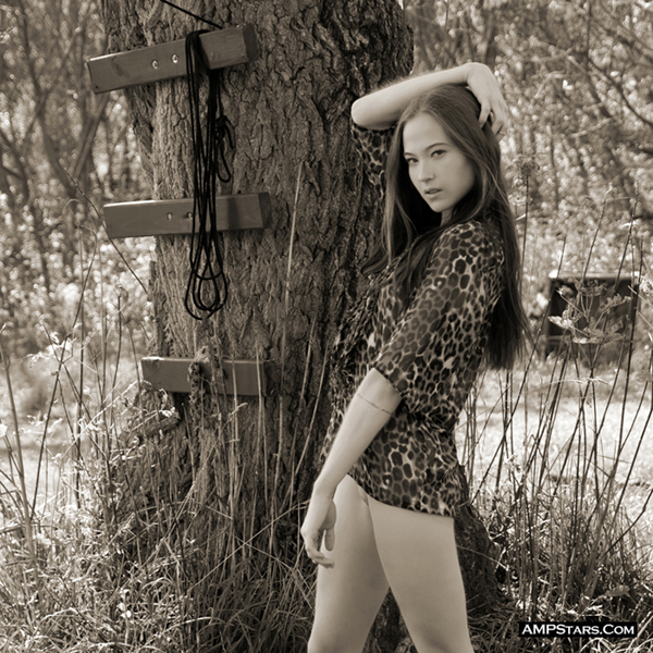 Random Image Example