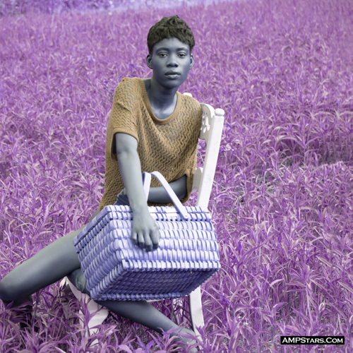 Random Image Example